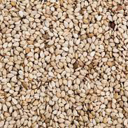 Sesame Seeds